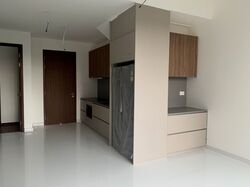 Parksuites (D10), Apartment #394034771